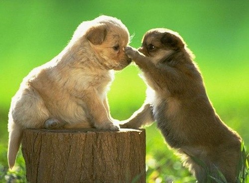 咬咬牙坚持下去